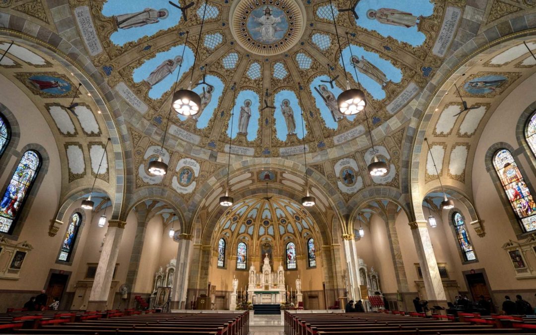 the ceiling and pews of a catholic cathedral