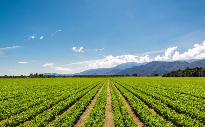 Discrimination in USDA Farm Loan Programs