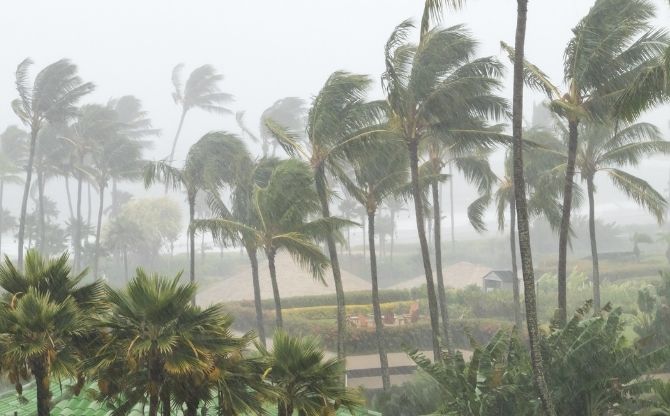Hurricane Michael Insurance Claims